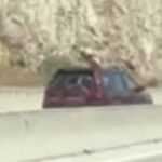 1100 033d90ec c902 4ae5 a7ac ed047c25c031 252863 335504 type13262