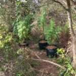 300398250 3383438301875815 8967912079777279151 n