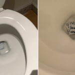 CEBBCEB5CEBACEACCEBDCEB7 CF84CF81CEB1CEBCCF80