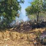 sagiada pyrkagia 2 1068x601 1