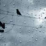 thumb 750 550 0 0 crop