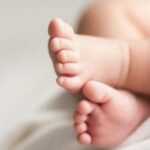 vrefos covid 768x433 1