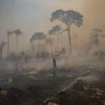 Brazil Amazon Fires