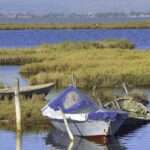 amvrakikos amvrakikos 11