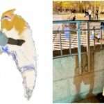 cache 846x3000 analog medium 1006730 416190 2592022 758x315 1