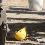 xj5zvr0m0lf9zjiyqx8c