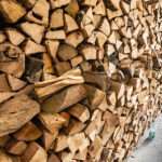 043 dpa pa 220725 99 153419 dpai