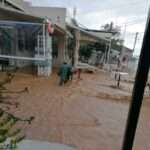 310405601 797614381443980 7779269333559634567 n