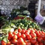 312530684 528373209294945 55516470521988728 n