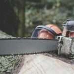 alysopriono 696x417 1