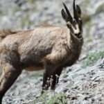 img 1439 themis nasopoulou blog flora olympus blogspot