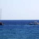 lathrometanastes 040618a