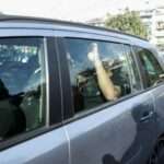 profilakisteoi sepolia