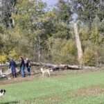 0 02 05 8a8d48c1650917f881ee8d37e5dc023d29dab2cb5f1bce473aa02f42e2656832 2726ac612c3 1400x1050 1