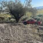 312404264 1271921633605356 5285390492976874348 n