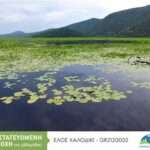 316420971 562518072547125 7211169619592371502 n