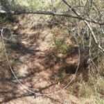 dasarcheio 3 1280x720 1