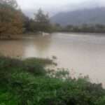 img ced87d6a03d94b2ebca83d9a78af5aa8 v 1 1