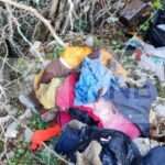 petamena royxa kivotos4 747x420 1