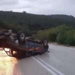 317508890 804705513929112 1504066629968111401 n