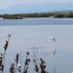 5d856de62300003100d0d347