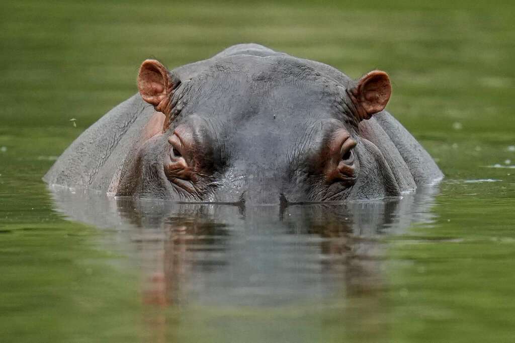 AP22330091860811