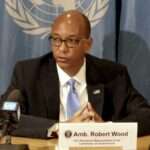 US ambassador to the UN Robert Wood