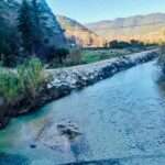 322955081 489466439960222 1659864303674287429 n