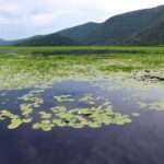 elos kalodikioy scaled 1