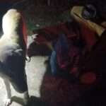 evros skylos ilikiwmenos