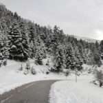 xioni27202 768x512 1