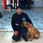 326214145 882497196361677 3481813696351593887 n