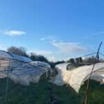 328684612 927268478450034 7612218297728302766 n