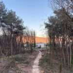 329731072 887671902564638 9052257468479460541 n