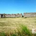 331490480 3572251729676811 1258899367813770262 n