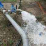 adeies chrisis neroy