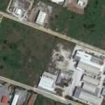 spider petsios 1 vipe