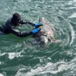 331771485 917819516079524 4357177859497222859 n