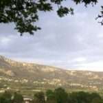 333093419 872938020606632 508957107600379263 n