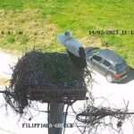 335538246 931573404642046 1875974937681932690 n