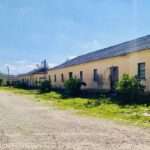 337883496 1200125153971628 3809941211153243271 n