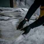 a62449345408da4d60b19a5141e37f2c xl