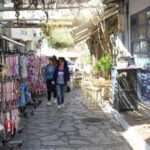 340856508 3393653384234748 8896362786803784359 n