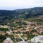 343148561 252692283815476 1259434930604236082 n