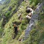 provata epesan se gkremo 3