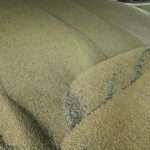 AP23116667812673 scaled 1