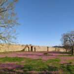 168492235 2987493481470301 5235507397297317803 n 1080x675