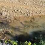 357083933 726526186146312 6109106053575825892 n