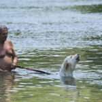 AP23110267101150 scaled 1