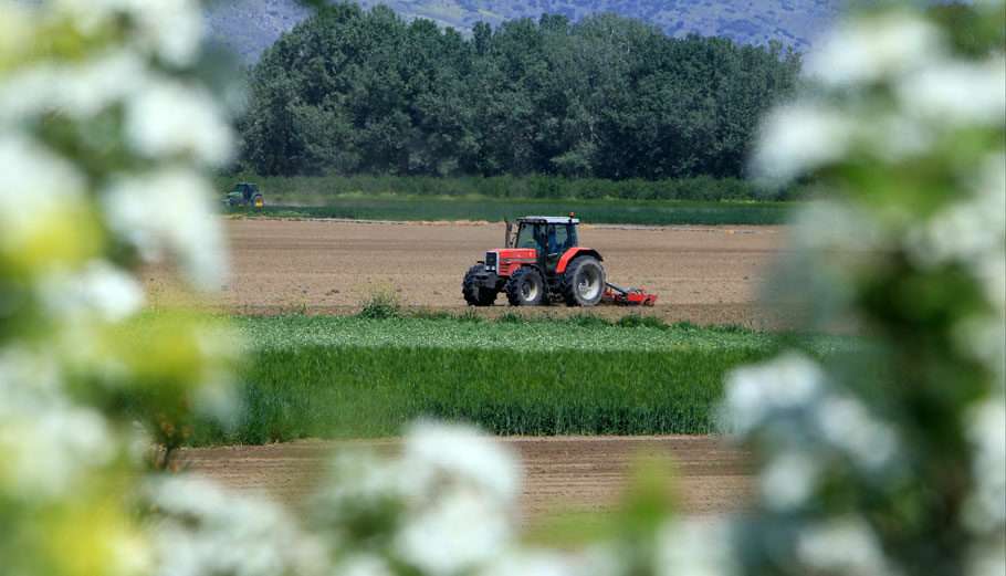 agrotes1 910x521